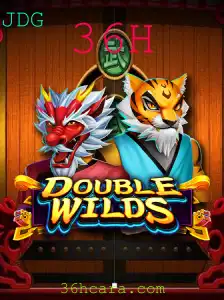 Descobrindo DoubleWilds: Um Guia Completo sobre o Jogo Inovador
